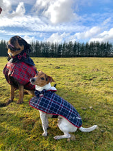 Load image into Gallery viewer, Waterproof Walkies - Dog Collar & Bow