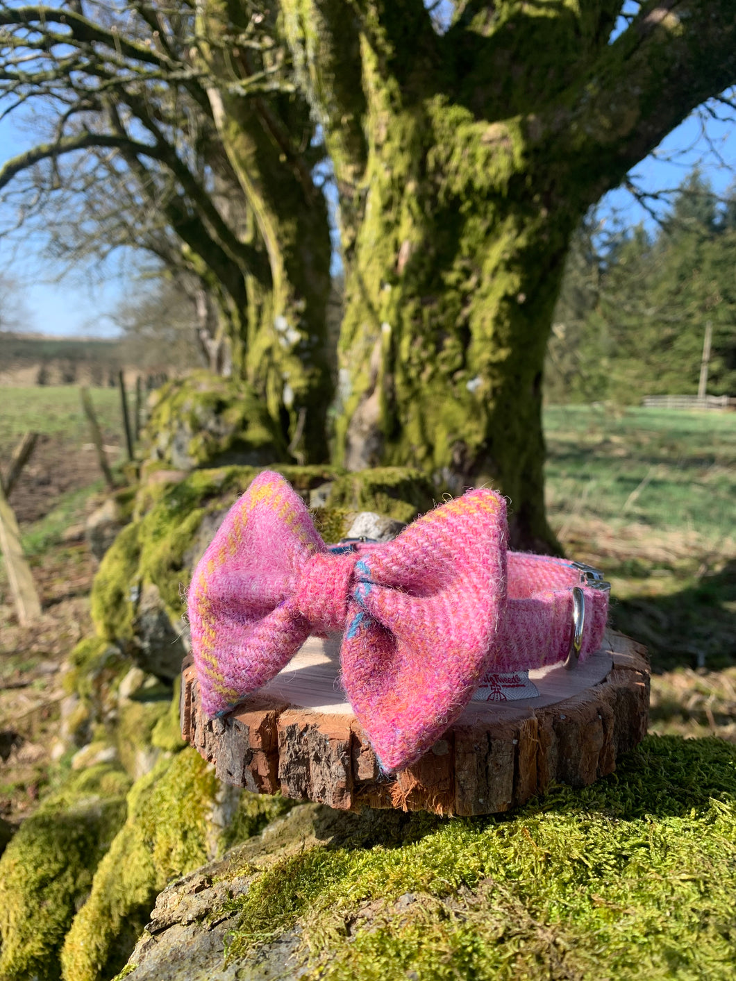 HUGES Harris Tweed ®Dog Collar & Bow