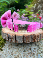 Load image into Gallery viewer, YOUNG Harris Tweed® Dog Collar &amp; Bow
