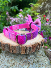 Load image into Gallery viewer, CHRISTIE Harris Tweed® Dog Collar &amp; Bow
