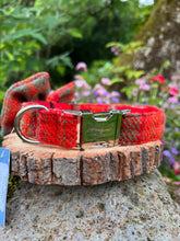 Load image into Gallery viewer, ROBERTSON® Harris Tweed Dog Collar &amp; Bow
