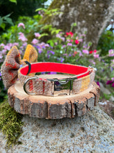 Load image into Gallery viewer, FLEMING Harris Tweed® Dog Collar &amp; Bow
