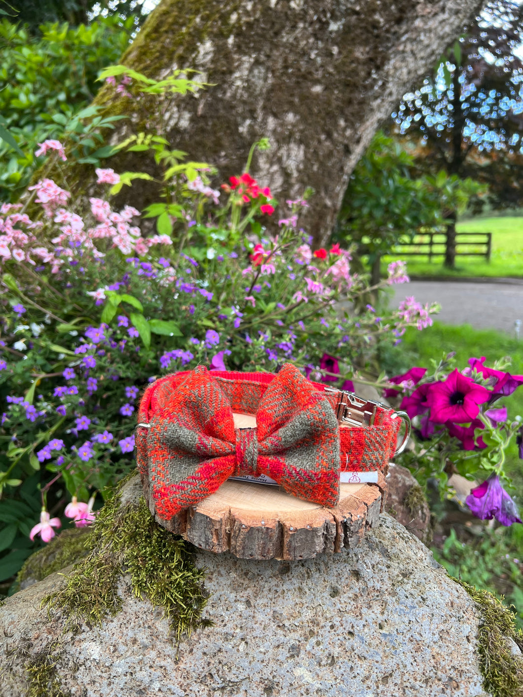 ROBERTSON® Harris Tweed Dog Collar & Bow